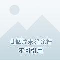 姜伯约繁体字 姜伯约繁体字
