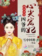 锦绣清宫四爷的心尖宠妃 锦绣清宫四爷的心尖宠妃