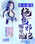 夜王盛宠绝色邪妃哪里跑 夜王盛宠绝色邪妃哪里跑