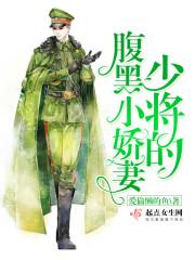 少将的腹黑小娇妻 少将的腹黑小娇妻