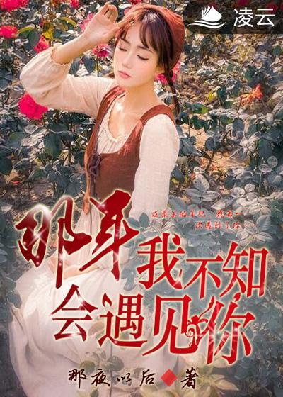 那年,我不知会遇见你 那年,我不知会遇见你